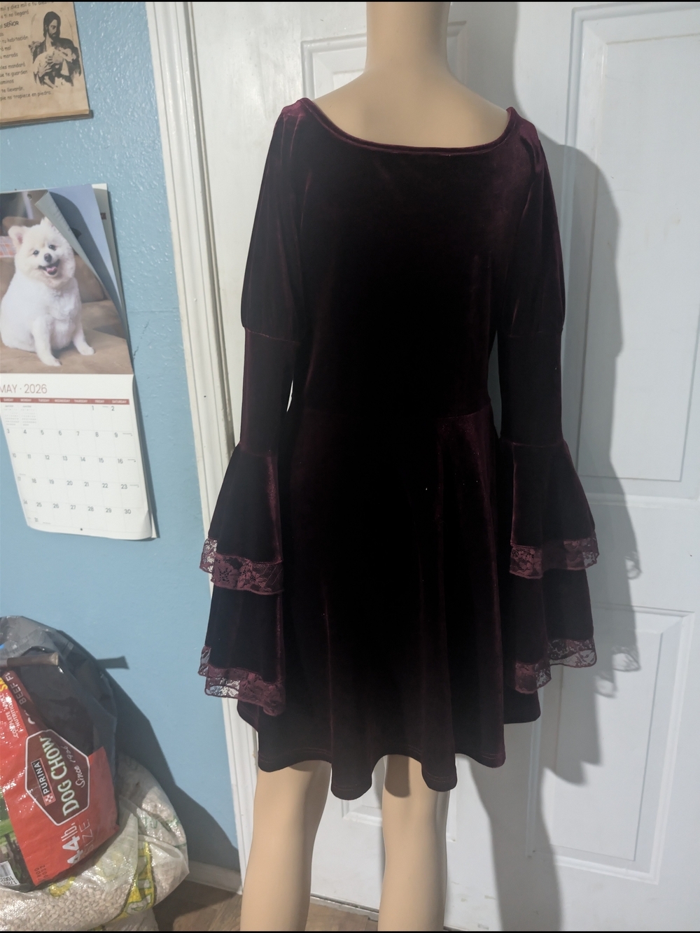 Spirit Velvet Lace Fit-and-Flare Dress in Burgundy - Picture 5 of 6